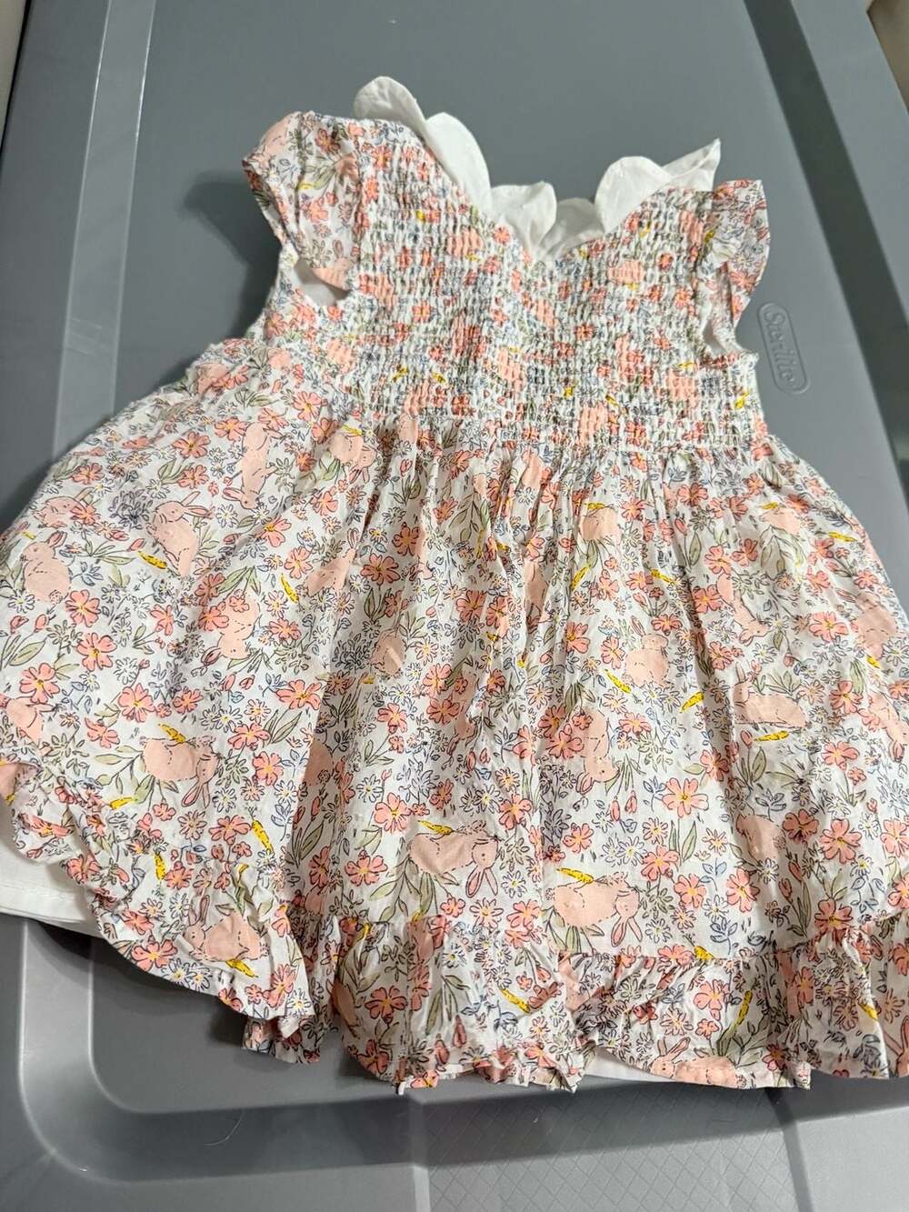 Haute Hippie Dress Size 12M Floral Bunny Smocked Ruffle Baby Girl
